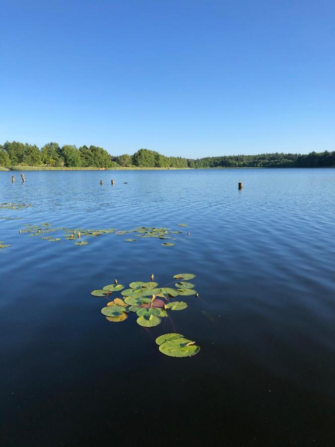 5 Sterne-Ferienhaus Eisvogel Am See Mit Sauna Und Kamin Krakow am See Luaran gambar